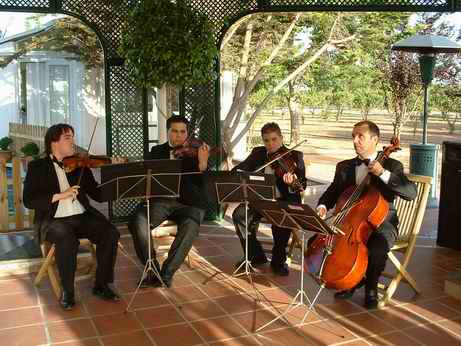 cuarteto de cuerda - pincha para ver detalles